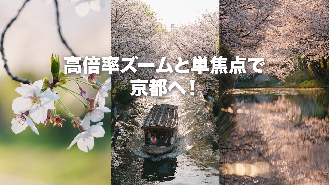 【このレンズ凄いな！】α7CIIとSIGMA 20-200mmの組み合わせ良すぎた！35mm F1.4 DG II Artも良かった！って話！