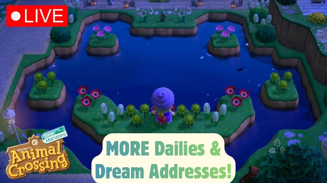 Dailies & Dream Addresses!! | Animal Crossing New Horizons