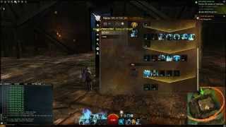 Fastest Way to Level 80 - Human Guardian