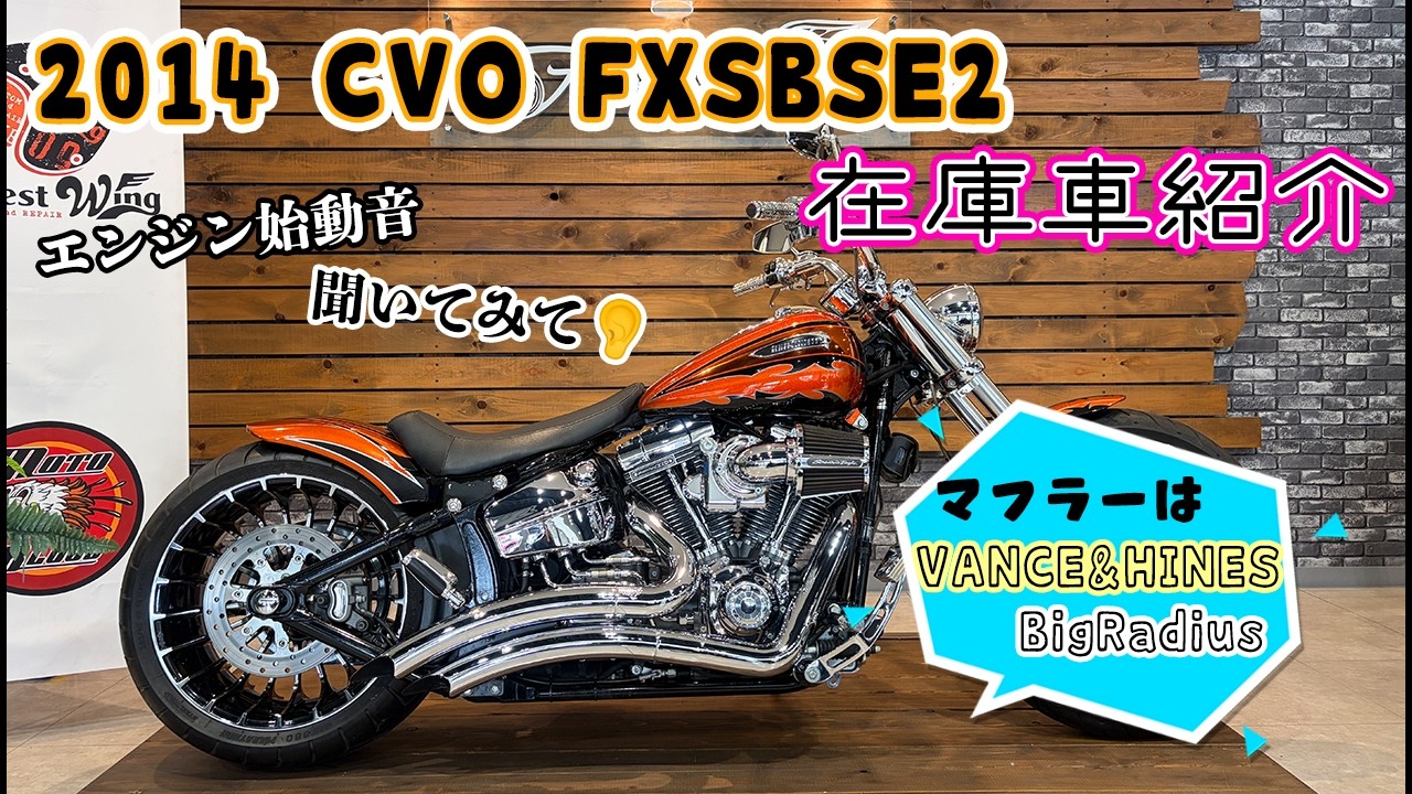 ハーレー CVO FXSBSE2 BREAKOUT リアフェンダー
