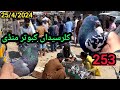 253 part 3 kallar syedan kabootar market  latest update high flyer pigeon market price  2542024