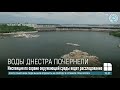 Воды Днестра почернели: видео с доказательством экологической катастрофы снял житель Наславчи