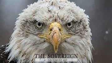 [ALSTUDIO] The Sovereign - AI Documentary #Music #documentary  #Klingai #Veo3 #Video