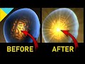 PINEAL GLAND & SCALP TINGLING at 7 Mins • Autonomous Sensory Meridian Response (ASMR) TRIGGER