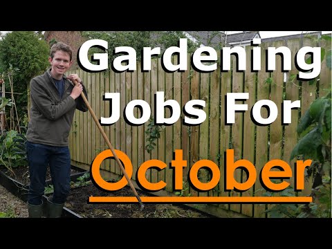 تصویری: کارهای باغبانی اکتبر - باغبانان شمال شرقی چه می کنند