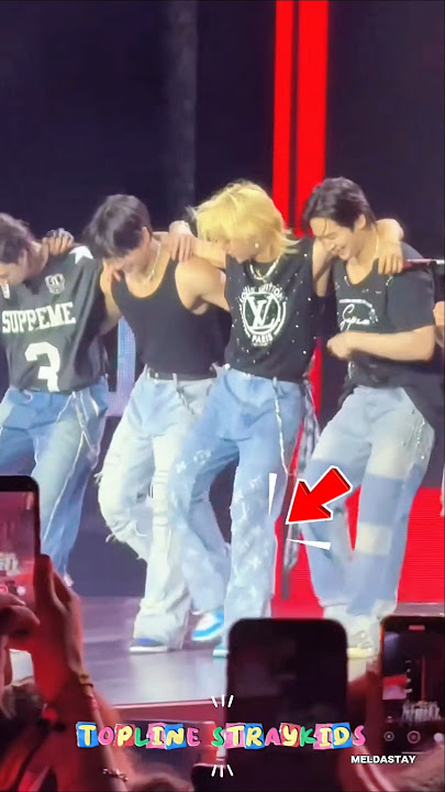The topline straykids' leg movements at every concert are so cool🐥🐶🦊🐰🐿🐷🥟🐺 #straykids #felix #hyunjin