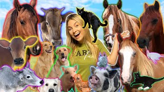 Feeding ALL MY ANIMALS in ONE VIDEO | 40+ PETS Night Feeding Routine!