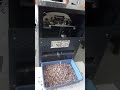 Betel nut cutting machine NOBEL ENGINEERING