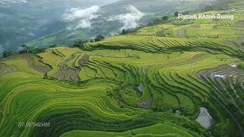 Quê em ruộng bậc thang