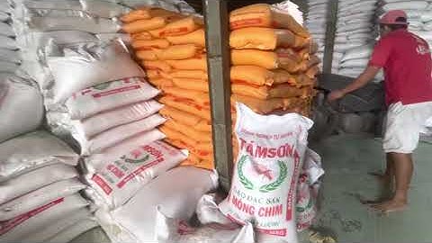 💥 GẠO SẠCH - GẠO NGON - GIÁ RẺ - CHẤT LƯỢNG - AN TOÀN - NHẬP KHẨU - TẬN GỐC Tại DNTN TÁM SƠN