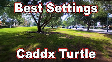 Caddx Turtle // Best Settings for YouTube 🎓