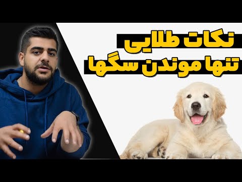 تصویری: آیا توله ها باید تنها بخوابند؟