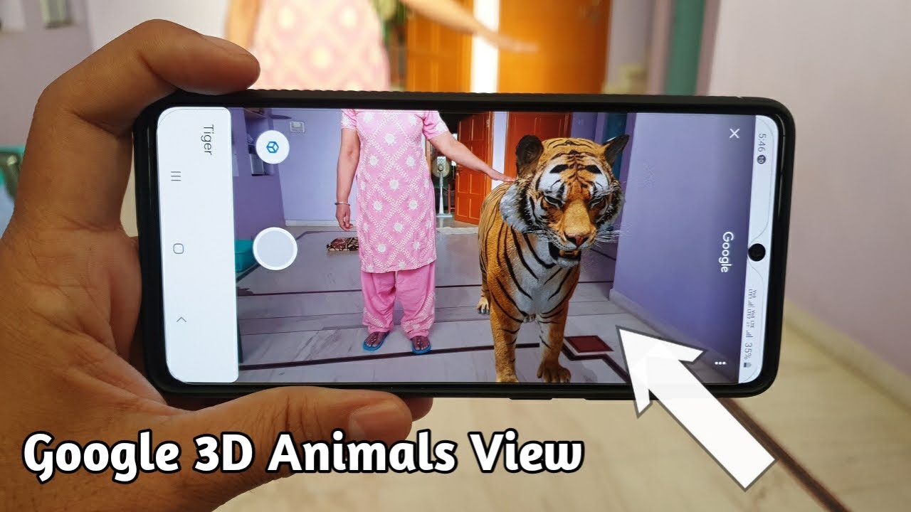  Update New  How to View Google 3D Animals in Your Mobile \\ AR Feature