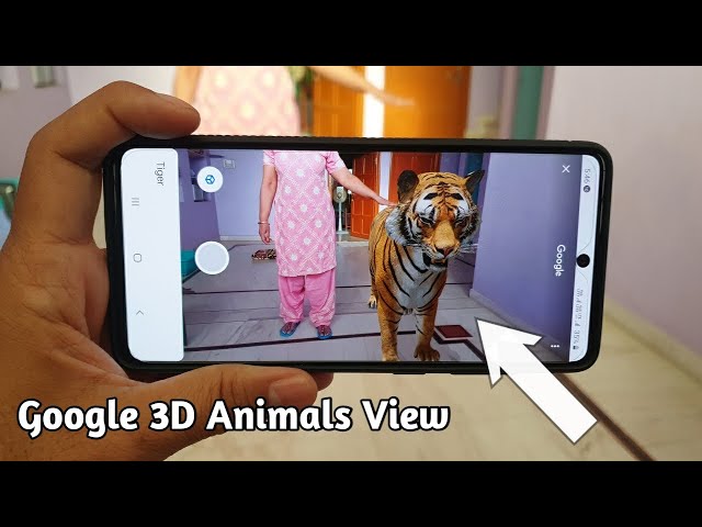 Animals 3D, Google 3D Animals on android