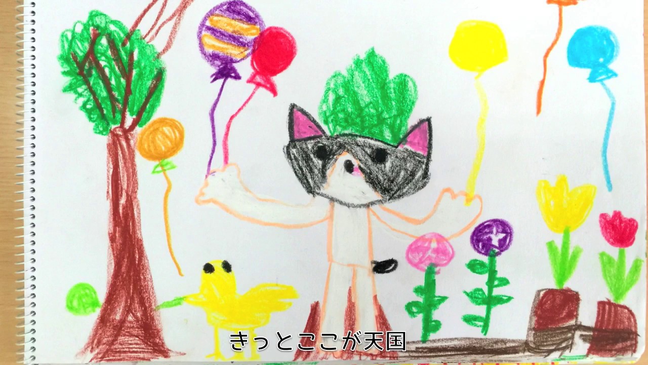 むぎ(猫)『天国かもしれない』 - YouTube