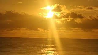 Sun Therapy 20231010