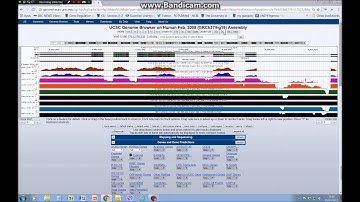 How to visualise RNAseq gene expression data on the UCSC genome browser (tutorial 3)