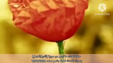 صلاة العشاء من رحاب جامع اسامة بن زيد بصوت الاستاذ احمد جاسم ما تيسر من سورة النور/المزمل