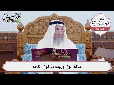 [113] حكمُ بول وروثِ مأكولِ اللحم - عثمان الخميس