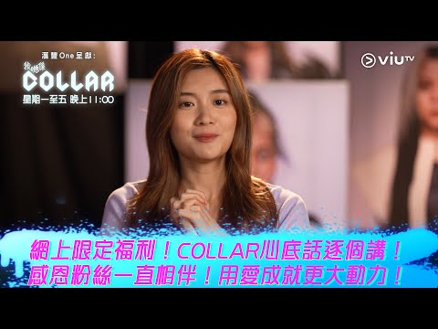 《我哋係COLLAR》網上限定福利！COLLAR心底話逐個講！ 感恩粉絲一直相伴！用愛成就更大動力！