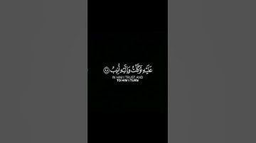 ما تيسر من سورة هود | القرآن الكريم | القارئ ماهر المعيقلي | كروما