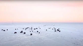 INTO THE LIGHT - Human Trafficking in Indigenous Communities in Alberta
