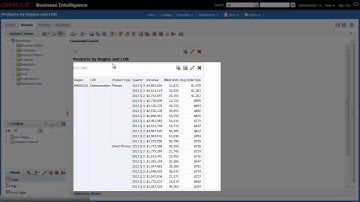Adding Views for Charts, Pivot Tables, and Filters Using Oracle BI EE