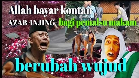 Viral!! Pemalsu makam dapat azab!! Diduga Palsu, 78 Makam Ulama dan Wali di Wonosobo Dibongkar Paksa