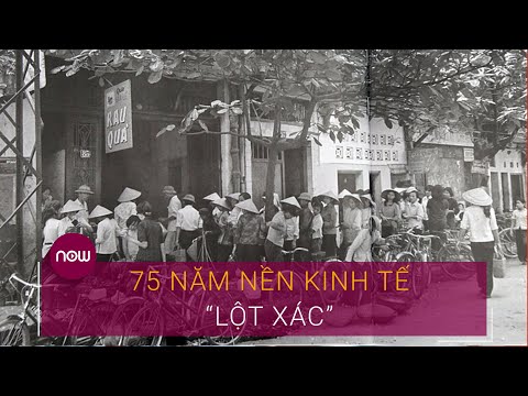 Kinh tế Việt Nam qua những thời kỳ "ngàn cân treo sợi tóc" | VTC Now