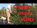 Catching Crappie Under The Thickest Grass Matts in Louisiana's Atchafalaya Basin