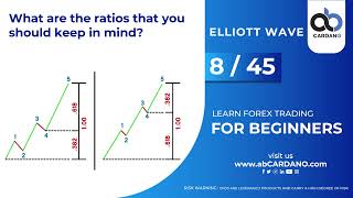 Famous Learn Forex trading for beginners- Chapter 8 Lesson 45-  The ratios that you should keep in mind Wealth
