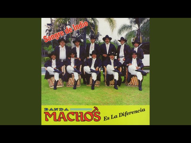 Banda Machos - Volveré