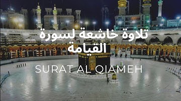 سورة القيامه تلاوة خاشعة ورائعة بصوت جميل ماشاء الله | surat al Qiameh