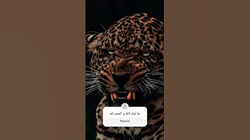 اللهم لك الحمد #تلاوة_قرآن #quran #qurankareem #quranforthesoul #تلاوة_مؤثرة #القرآن_الكريم #خشوع