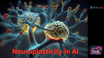 Neuroplasticity in AI: Can Machines Learn & Adapt Like Human Brains?