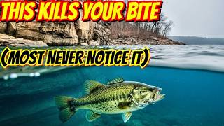 Download Lagu Waarom je niet gebeten wordt - 3 oplossingen die werken MP3