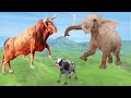 Elephant Vs Bull Save Cow Cartoon Animal Revolt Epic Battle Compilation