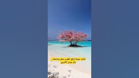 تلاوة جميلة تُرقق القلوب عطر مسامعك _ بكر عوض الكثيري #تيك_توك #لايك #ترند #حالات_واتس #في #امطار #ر