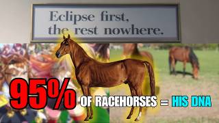 Why is Eclipse so Legendary in Uma Musume?