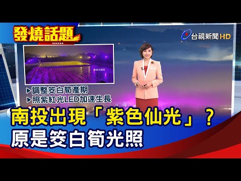 南投出現「紫色仙光」？ 原是筊白筍光照【發燒話題】-20230208