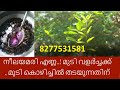 നീലയമരി കാച്ചിയ എണ്ണ |Hair Growth Treatment |hair fall home remedy |herbal hair oil