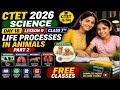 CTET 2026 Science | Life Processes in Animals (Part 2) | Class 7th | Lesson 9 | Day 18