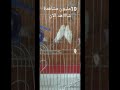 عمرى ما هقدر اوصفلك