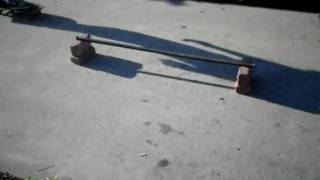 SDC10155