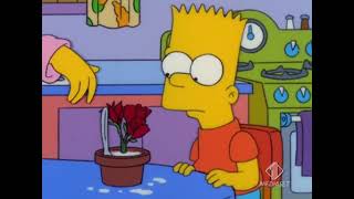 Homer sa solo russare