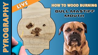 How To Do Pyrography Like A Pro: Wood Burning A Bull Mastiff // Part 3 Mouth & Jaw
🔥 Today, we are working on Layla the Bull Mastiffs mouth, jaw, and teeth for my Trekell Pet Portrait Competition 2023 piece. This is a Baltic birch special cut board for the competition:
You can purchase this raw Baltic birch board here: https://bit.ly/32GOIVV
Other Baltic Birch panels: https://bit.ly/32GOIVV
*Use code VALARIE5 to receive 5% off your 1st purchase.
🔥 Join this channel to get access to perks:
https://www.youtube.com/channel/UC4EqQlIocvjNoQfH_4eiQug/join
Drawing With Fire merch: https://bit.ly/DrawingWithFireStore
⌨ Dont for get to check out my pyro blog! It focuses on everything pyrography: https://www.hlastudios.com/dwfbloghome
☕🔥 Ko-Fi Membership: http://ko-fi.com/drawingwithfire/tiers
*if you have/had a hard time signing up for my paid YouTube Membership you can now join thru my ko-fi membership and receive the exact same perks. The only perk you miss out on is having the ability to use gifs in live chats. 100% of your membership fee comes directly to me, which helps to support the channel even more!
🔥🔥🔥 Open for more Pyro Goodies 🔥🔥🔥
💥Optima 1... the best wood burner on the market:
http://bit.ly/BestWoodburner
✨Trekell birch wood panels: http://bit.ly/33NM5Cp
* Use code: VALARIE5 and the link above to receive 5% off of your trekell purchase.
This is an affilate code and I will receive 5% of the sales at no cost to you. Thank you so much for supporting the channel.
⭐ Woodcarving Illustrated Fall 2019 issue 88 (my raven pattern):
http://bit.ly/WCIRaven
🦉Pyrography Magazine Special Issue 25 (Fall 2020) - my owl pattern:
https://bit.ly/PyroMag2020
▪All Amazon & dick blick links are affiliate links. When you make any purchase through one of these links, you help support the channel with no additional cost to you. Thank you so much for this support!
Drawing With Fire Amazon Influencer page: http://bit.ly/PyrographySupplies
*All the amazon pyrography supplies I use during my lives and much more
Drawing With Fire Kit page: http://bit.ly/PyroSupplies
*All of the wood burning supplies I use, listed in one place.
♥♥ Support the stream & channel: https://streamlabs.com/valarieconnelldrawingwith
♥♥ To help support my channel and teaching videos, please consider a donation. You can use PayPal to donate. A small $3+ donation can go a long way. Thanks!
http://bit.ly/DrawingWithFireDonations
♥♥ You can also help to support the channel here: http://bit.ly/DWFchannelDonations
You can donate at any time, but donations during the lives will have a special pop up on screen just for you. This is always fun.
The Drawing With Fire Pyrography group for those wanting to share their work & ask questions within the Toasties community: http://bit.ly/DrawingWithFiregroup
Dont forget to join my FaceBook page and post your own wood burnings to share or to get help!
http://bit.ly/VCDrawingWithFire
Please remember to like, comment & if youre new, SUBSCRIBE!
Social Media:
http://www.drawingwithfire.com
Facebook:
http://facebook.com/HeavenlyLegendsArt
https://www.facebook.com/VCDrawingWithFire/
Instagram: @vc_drawing_with_fire
https://www.instagram.com/heavenly_legends_art/
Twitter:
https://twitter.com/HeavenlyLegends
Business emails only please: infoDrawingWithFire@gmail.com
For monthly pyro advice/critiques: BurningArtAdvice@gmail.com
*please only use this email address if you are wanting to be a part of the live monthly critiques.
#pyrography #woodburning #drawingwithfire
How To Do Pyrography Like A Pro: Wood Burning A Bull Mastiff // Part 3 Mouth & Jaw How To Do Pyrography Like A Pro: Wood Burning A Bull Mastiff // Part 3 Mouth & Jaw