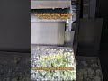 High-Efficiency Vegetable Cutting Machine for Restaurants & Factories