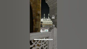 قبس من تلاوة فضيلة الشيخ د.ماهر المعيقلي من صلاة التهجد ليلة ٢٤ رمضان ١٤٤٦ه‍.❤️ #ماهرالمعيقلي