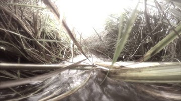 SKRIPTUM official video clip A DOCUMENT SAYS nights.like.these.musik
