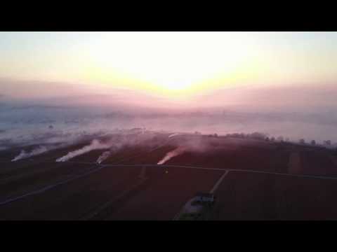 Meursault - Burgundy